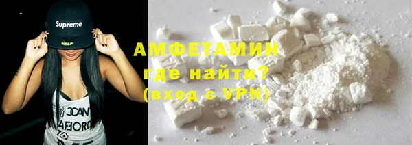 прущие грибы Саяногорск
