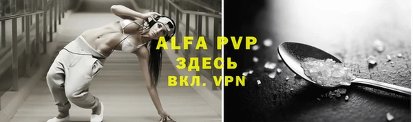хмурый Аркадак