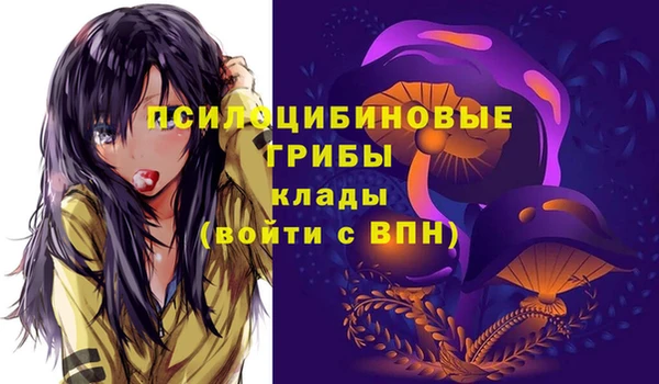 хмурый Аркадак