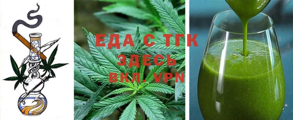 хмурый Аркадак