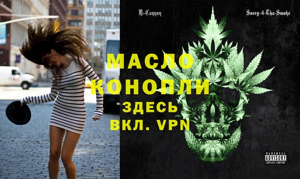 хмурый Аркадак