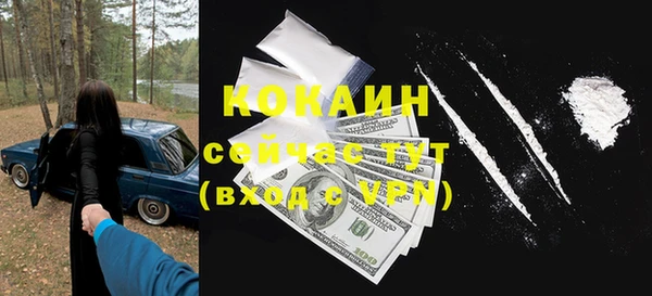 хмурый Аркадак