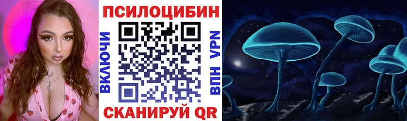 Псилоцибиновые грибы Psilocybe  Кодинск 